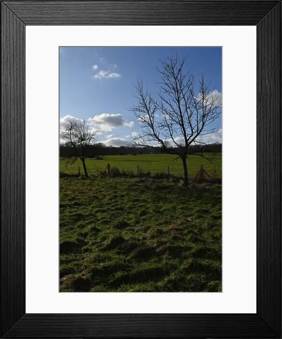 Framed Print : 2s9j1c1 Framed Print : 2s9j1c1