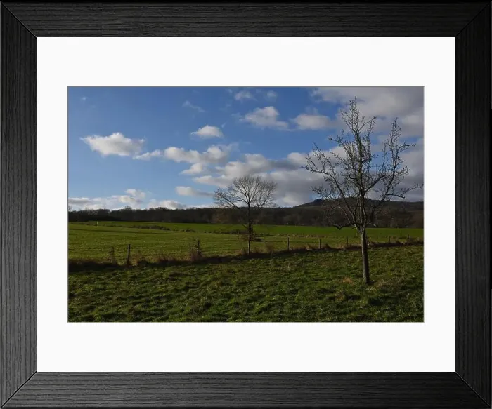 Framed Print : 2s9j1c4 Framed Print : 2s9j1c4