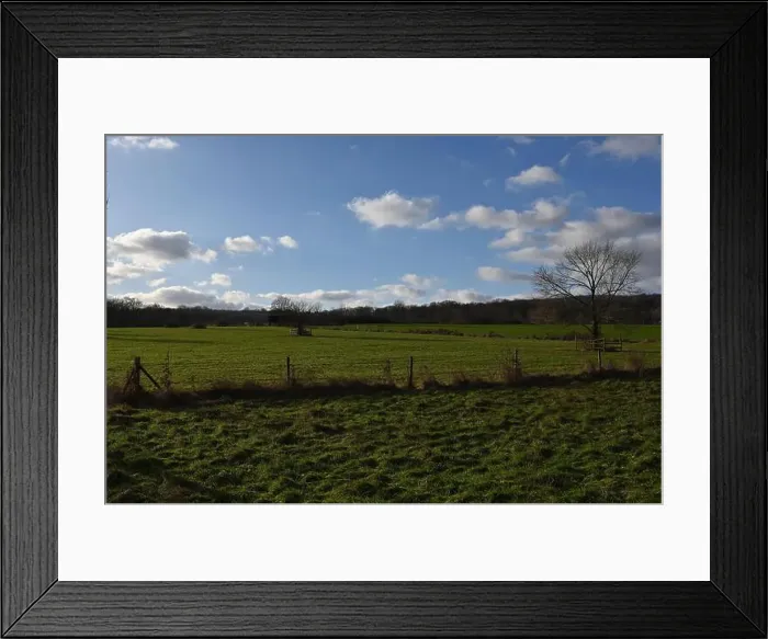 Framed Print : 2s9j1cb