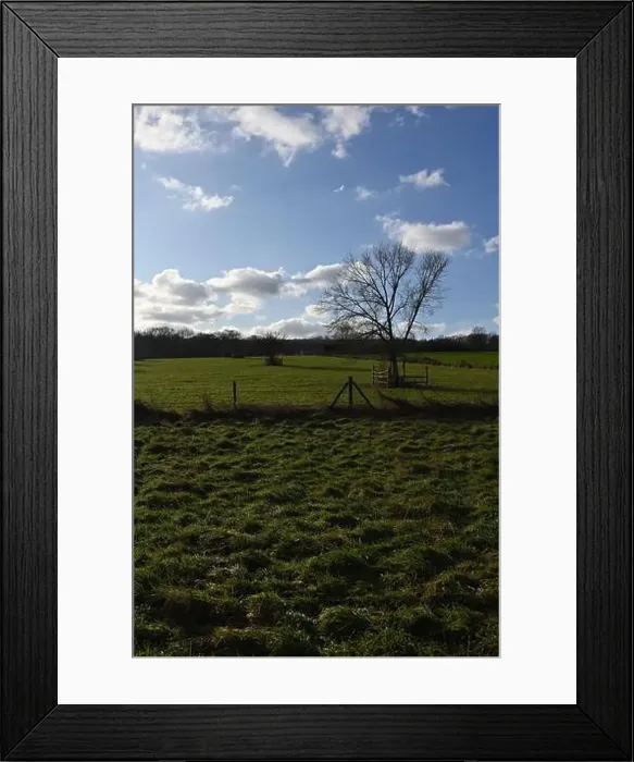 Framed Print : 2s9j1fb Framed Print : 2s9j1fb