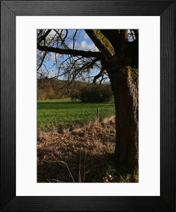 Framed Print : 2s9j1fp Framed Print : 2s9j1fp