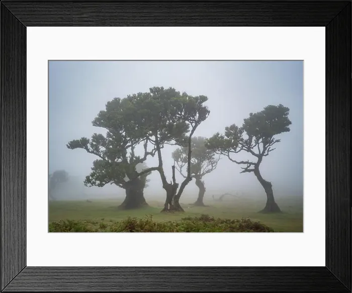 Framed Print : 2s9p7et Framed Print : 2s9p7et
