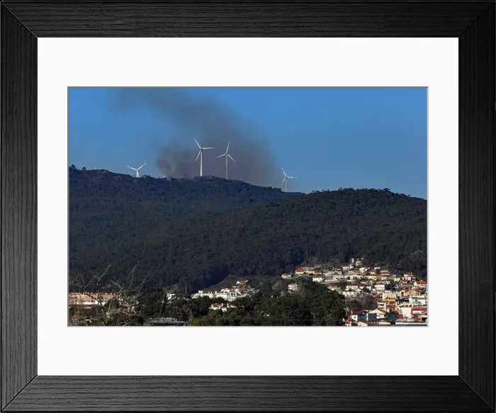 Framed Print : 2s9r1f7 Framed Print : 2s9r1f7