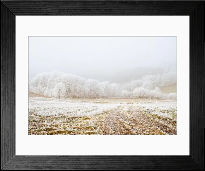 Framed Print : 2s9rpcw Framed Print : 2s9rpcw