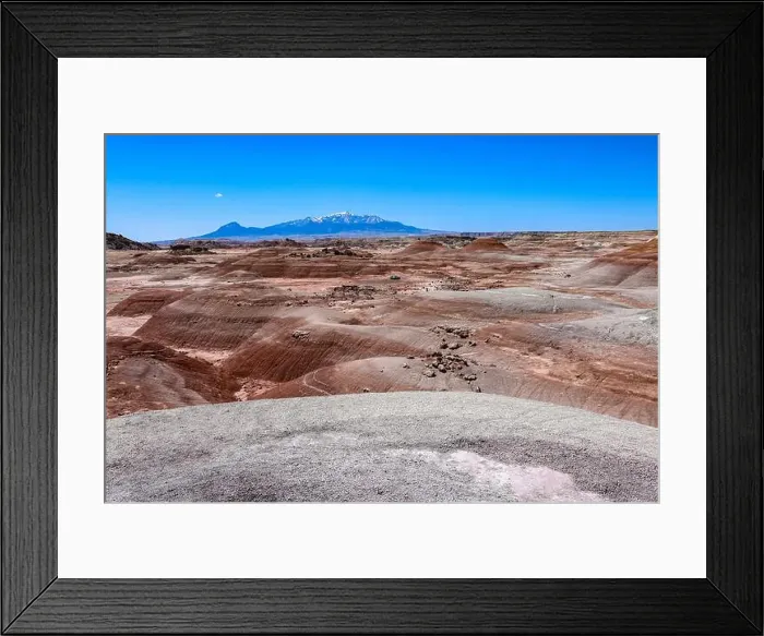 Framed Print : 2s9txam Framed Print : 2s9txam