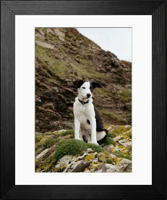 Framed Print : 2s9wc2p Framed Print : 2s9wc2p