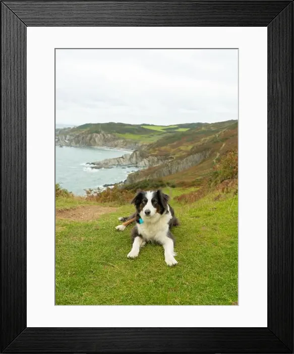 Framed Print : 2s9wc49 Framed Print : 2s9wc49