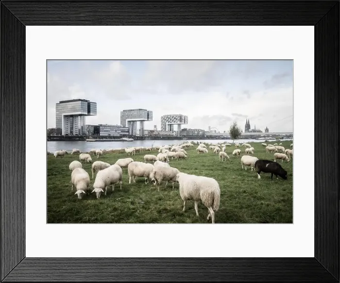 Framed Print : 2sa0d1e Framed Print : 2sa0d1e