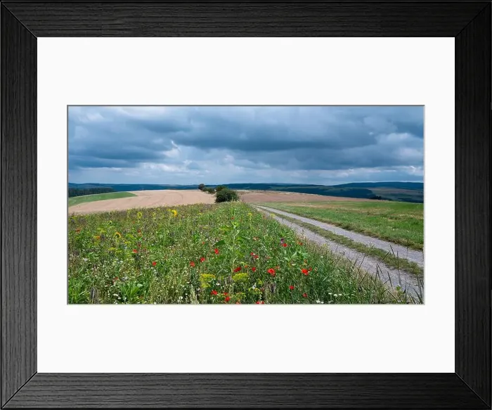 Framed Print : 2sa4ed5 Framed Print : 2sa4ed5