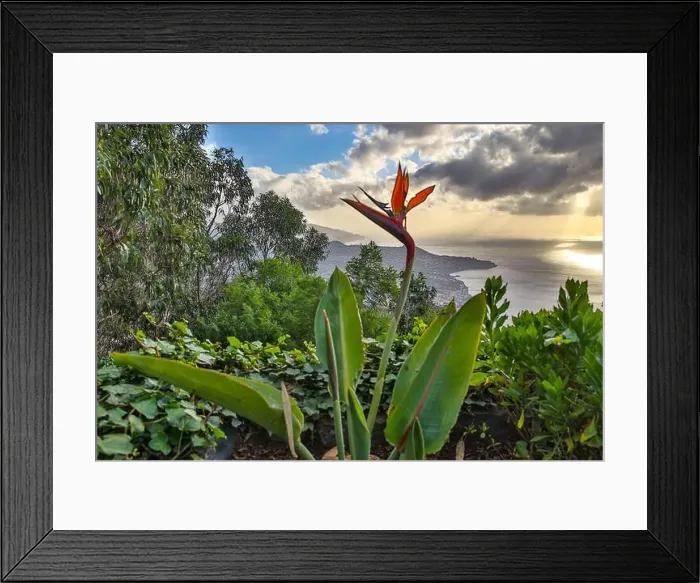Framed Print : 2sa55em Framed Print : 2sa55em