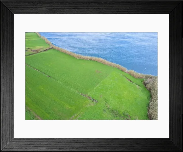 Framed Print : 2sadg4t Framed Print : 2sadg4t