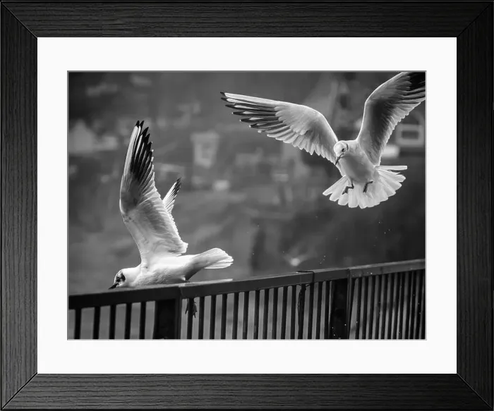 Framed Print : 2saj9x4 Framed Print : 2saj9x4