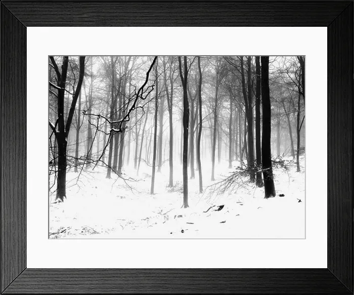 Framed Print : 2saj9xg Framed Print : 2saj9xg