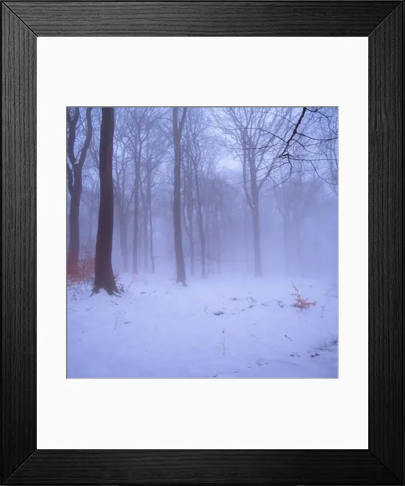Framed Print : 2saja0m Framed Print : 2saja0m