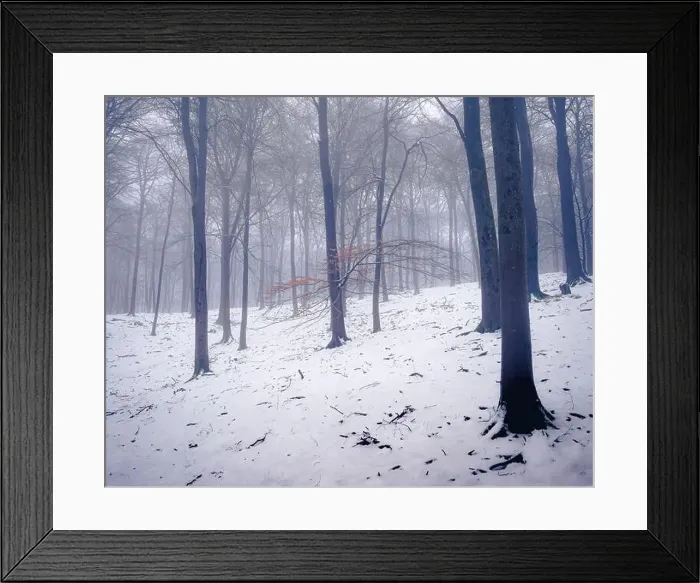 Framed Print : 2saja12 Framed Print : 2saja12