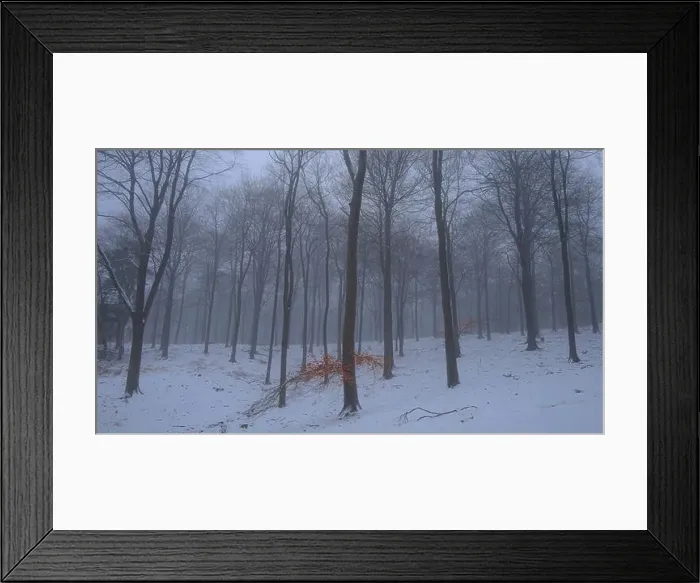 Framed Print : 2saja1c Framed Print : 2saja1c