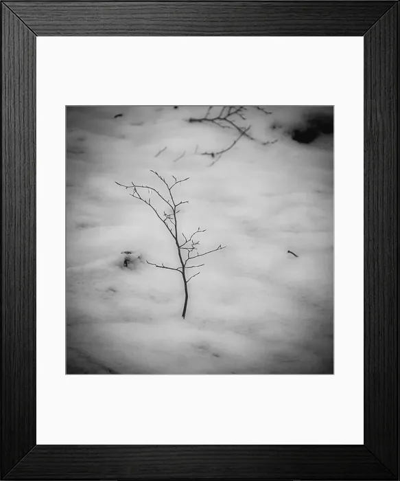 Framed Print : 2saja1y Framed Print : 2saja1y