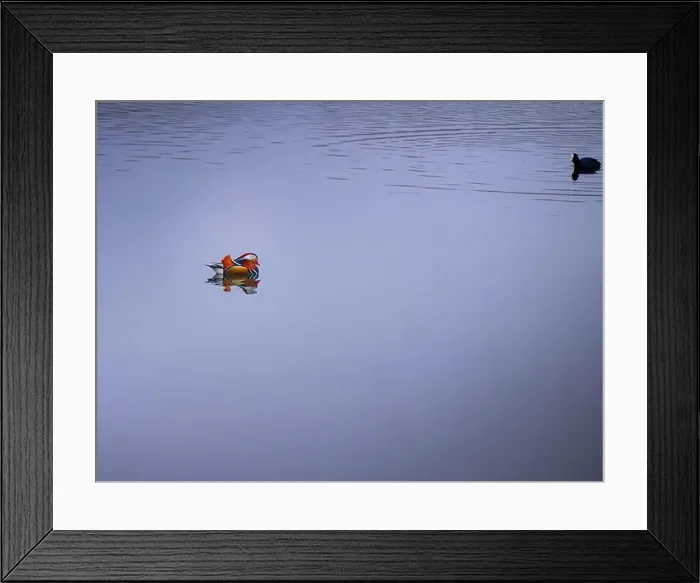 Framed Print : 2saja21 Framed Print : 2saja21