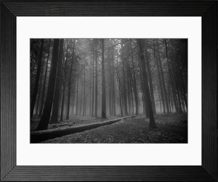 Framed Print : 2saja25 Framed Print : 2saja25