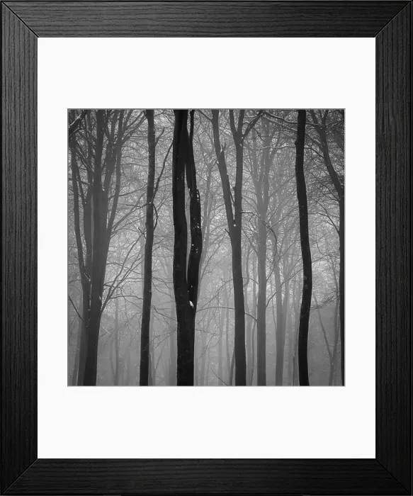 Framed Print : 2saja48 Framed Print : 2saja48