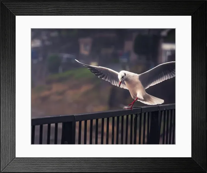 Framed Print : 2saja4k Framed Print : 2saja4k