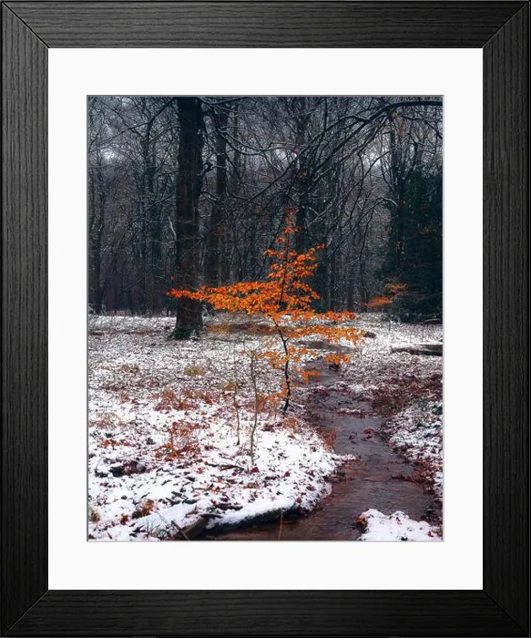 Framed Print : 2saja52 Framed Print : 2saja52