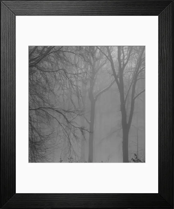 Framed Print : 2sajaaw Framed Print : 2sajaaw