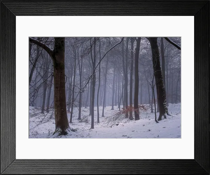 Framed Print : 2sajabj Framed Print : 2sajabj