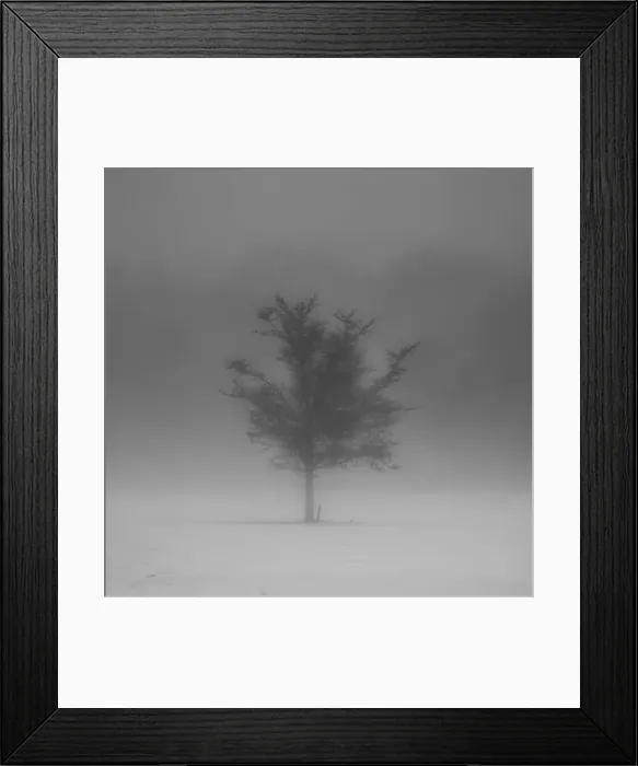 Framed Print : 2sajada Framed Print : 2sajada