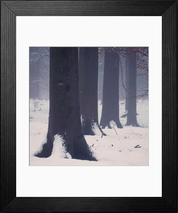 Framed Print : 2sajadj Framed Print : 2sajadj