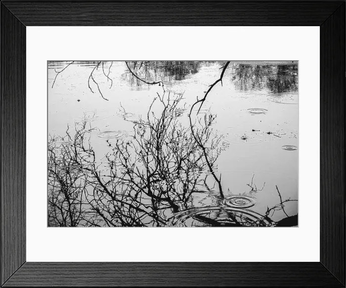 Framed Print : 2sajag8 Framed Print : 2sajag8