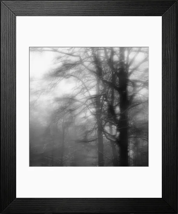 Framed Print : 2sajagk Framed Print : 2sajagk