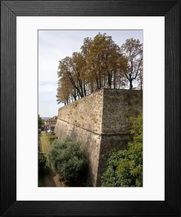 Framed Print : 2samcwf Framed Print : 2samcwf