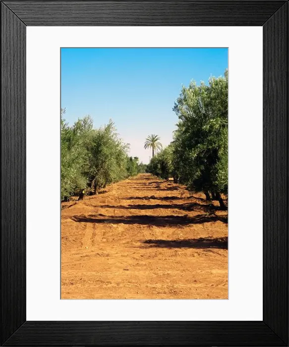 Framed Print : 2sap8tg Framed Print : 2sap8tg