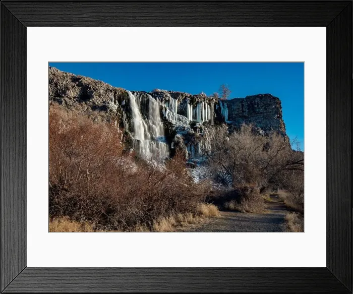 Framed Print : 2sap987