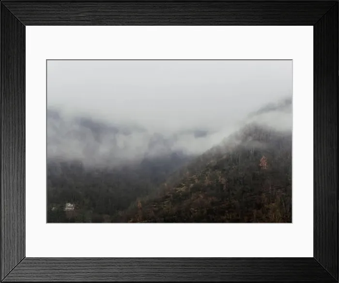 Framed Print : 2sapdp1 Framed Print : 2sapdp1