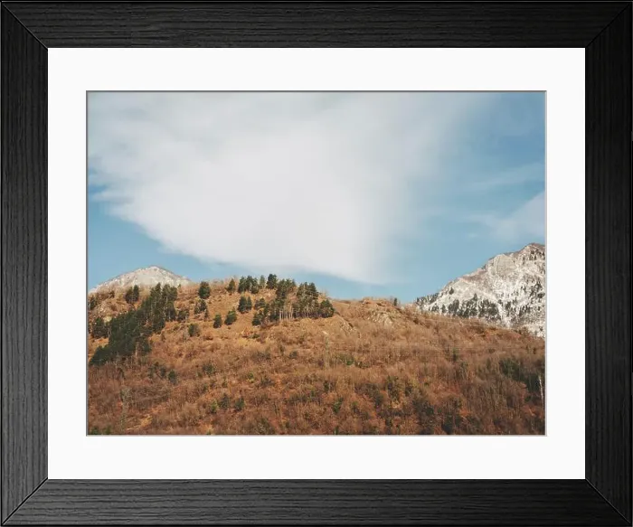 Framed Print : 2sapdpr Framed Print : 2sapdpr