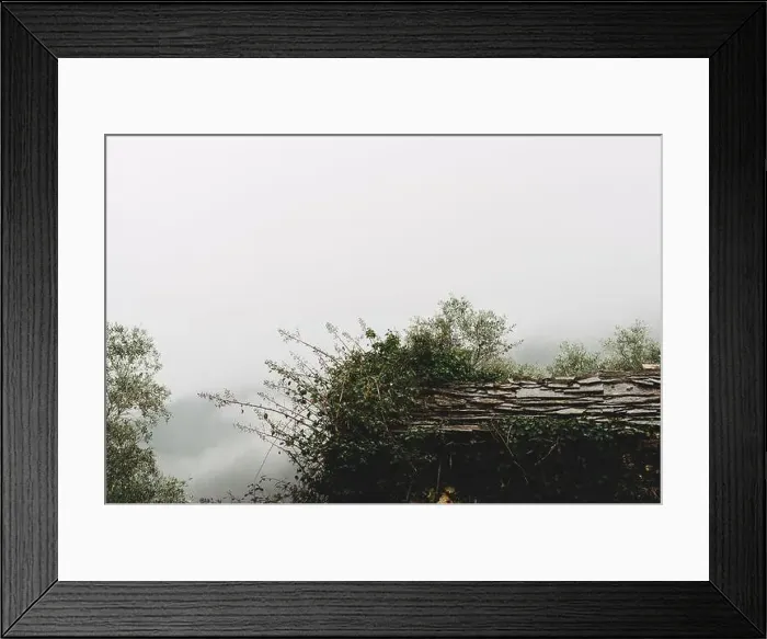 Framed Print : 2sapdrd