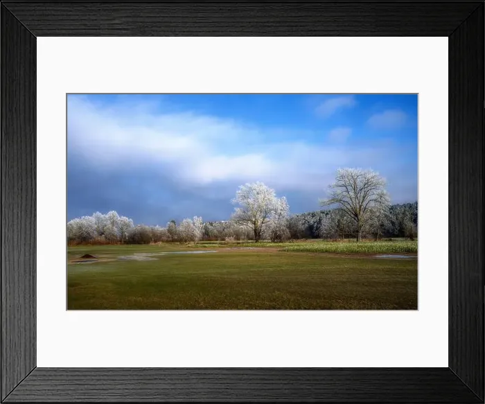 Framed Print : 2sayy24 Framed Print : 2sayy24