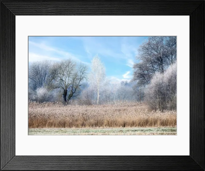 Framed Print : 2sayy28 Framed Print : 2sayy28