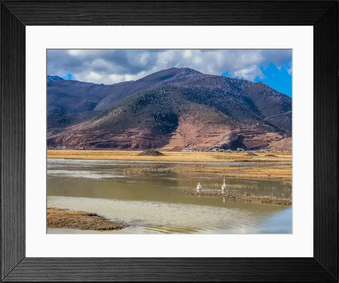 Framed Print : 2sbc2db Framed Print : 2sbc2db