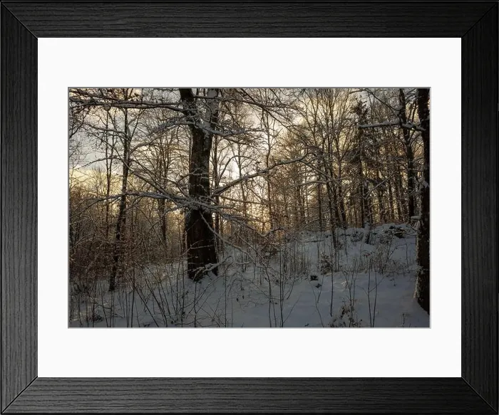 Framed Print : 2sbd1ry Framed Print : 2sbd1ry