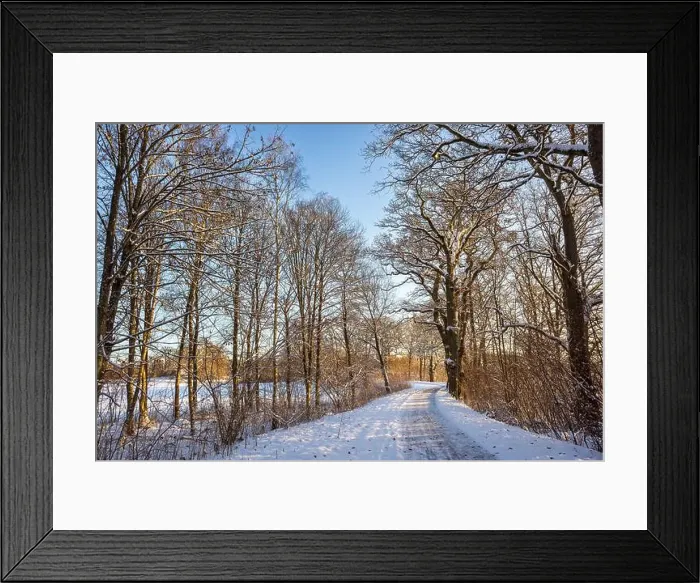 Framed Print : 2sbd1td Framed Print : 2sbd1td