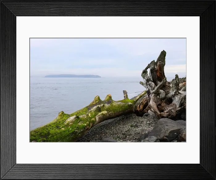 Framed Print : 2sbdxjt Framed Print : 2sbdxjt
