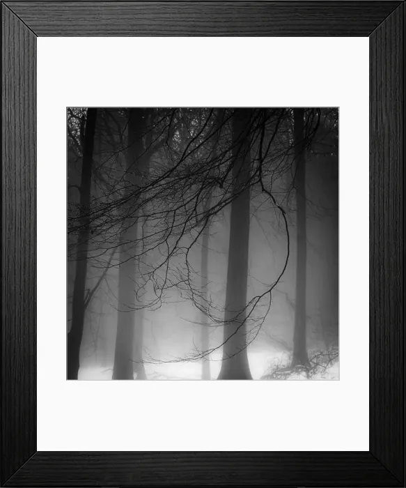 Framed Print : 2sbfx8b Framed Print : 2sbfx8b