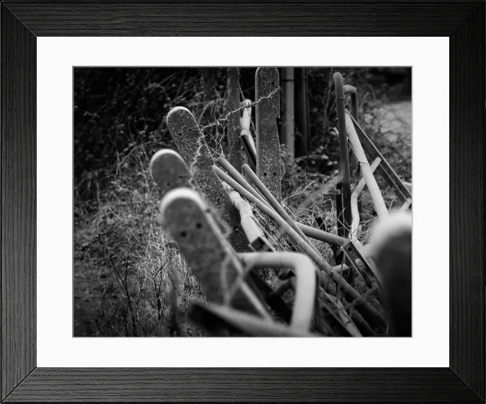 Framed Print : 2sbfx90 Framed Print : 2sbfx90