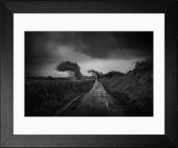 Framed Print : 2sbfx98 Framed Print : 2sbfx98