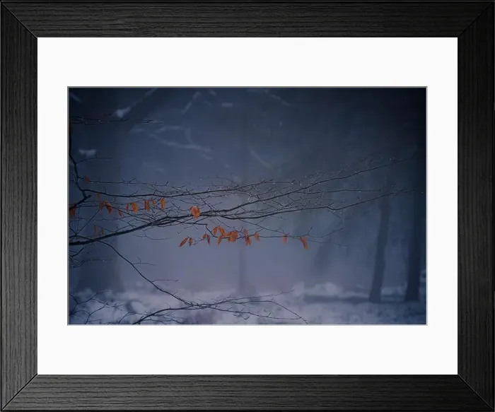 Framed Print : 2sbfxcf Framed Print : 2sbfxcf