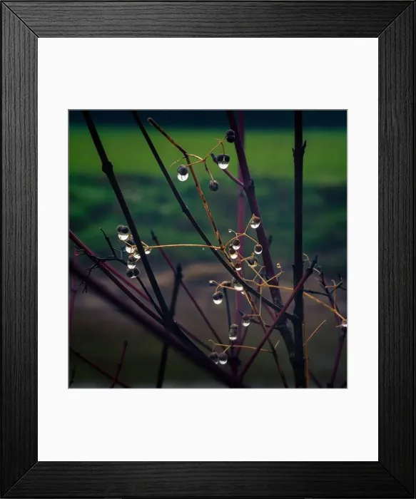 Framed Print : 2sbfxg4 Framed Print : 2sbfxg4