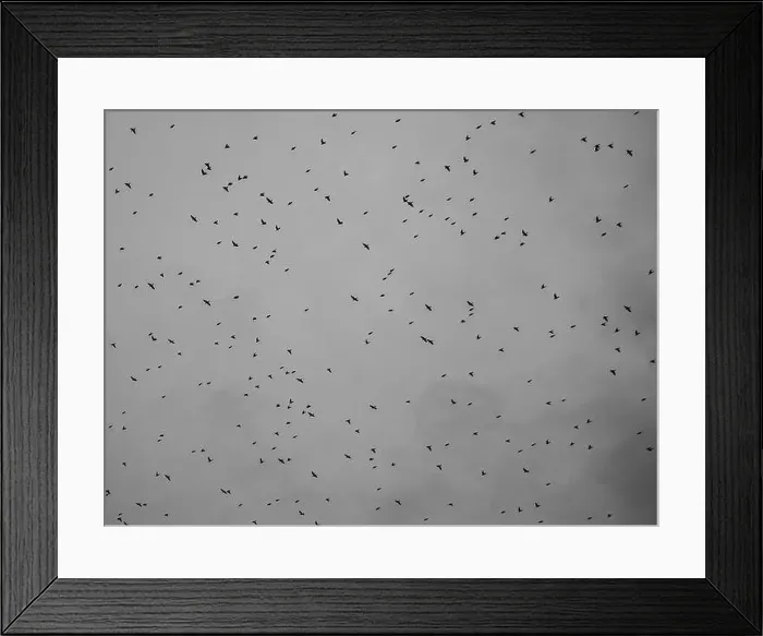 Framed Print : 2sbfxgd Framed Print : 2sbfxgd